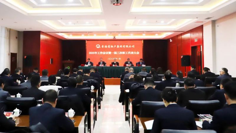 堅定信心促發(fā)展 實干爭先攀新高——省物產(chǎn)集團(tuán)2025年工作會議暨一屆三次職代會勝利召開