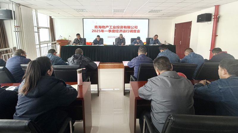 物產(chǎn)工投公司召開2025年第一季度經(jīng)濟(jì)運(yùn)行調(diào)度會