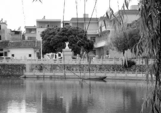 老鄉(xiāng)眼里的李河君：陌生富豪，夫人助其發(fā)財(cái)